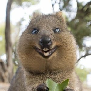 Meet your Posher, Minh